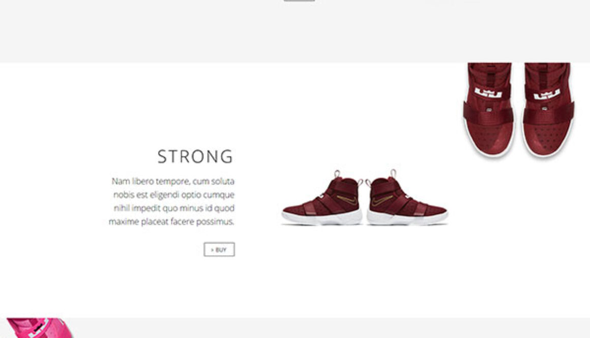shop-landing-shoe