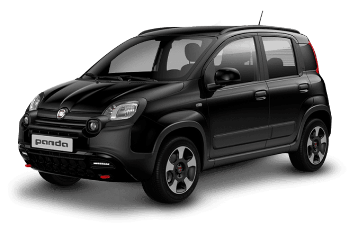 Panda-Cross-Ibrida-Nera Panda-Cross-Ibrida-Nera