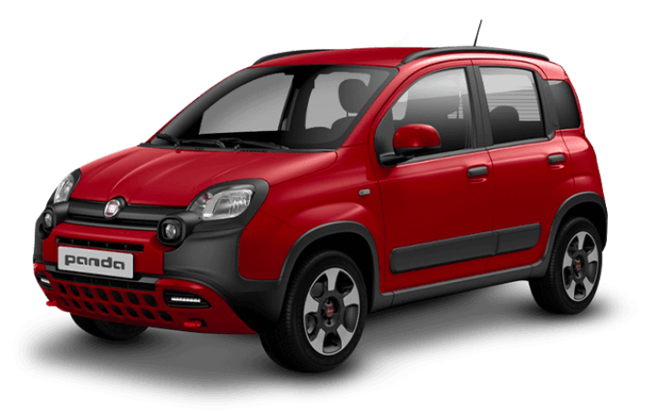 Panda-Cross-Ibrida-Rossa Panda-Cross-Ibrida-Rossa